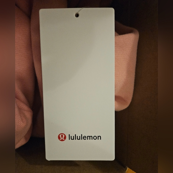 NWT Lululemon Steady State Oversized Hoodie Sweatshirt Tea Rose - Picture 5 of 5